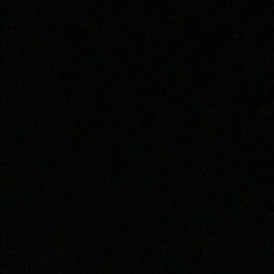 Meet your Posher, Omari